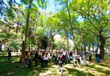 Acto día internacional de la eliminación de la violencia contra la mujer