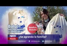 Conecta UPCN #1142 08.10.26